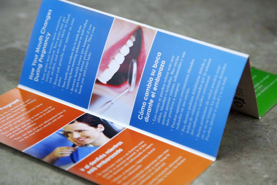 Teeth First Information Pamphlet