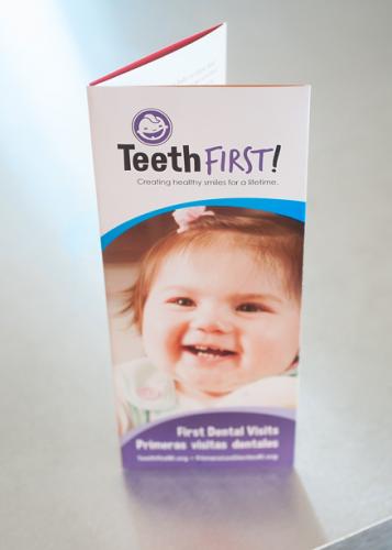 TeethFirst Brochure